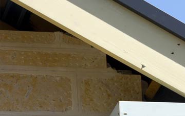 soffit repair Trefnant